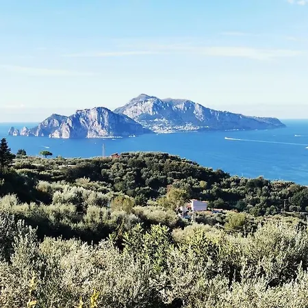 Capri Wonderful View Holiday home *